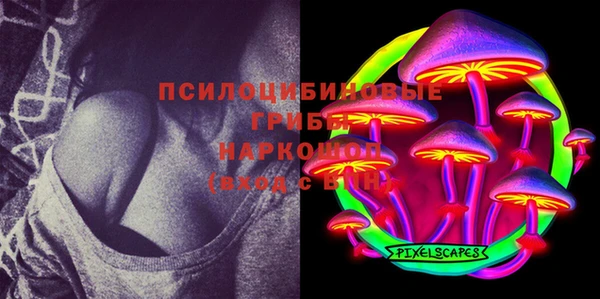 apvp Баксан